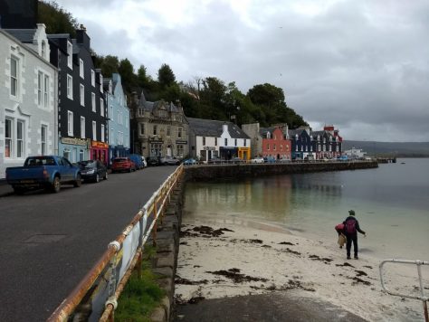 Boat Tour From Oban photograph 6
