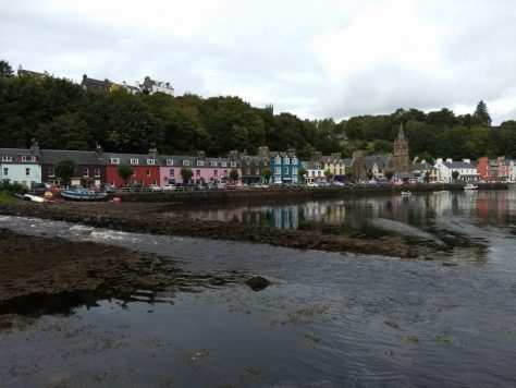 Boat Tour From Oban photograph 9