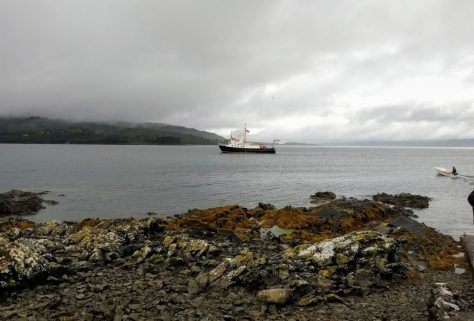 Boat Tour From Oban photograph 12
