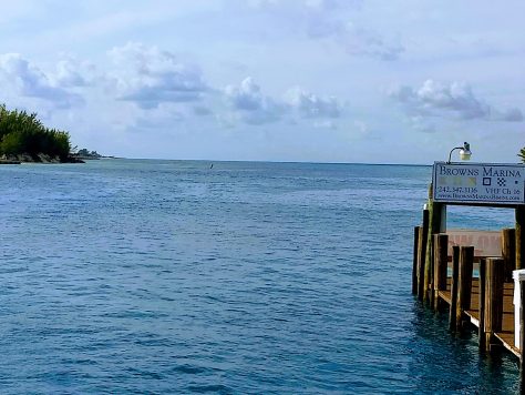 Bimini island And Cat CAYs. photograph 11