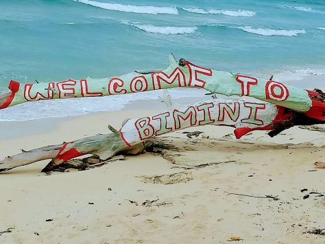 Bimini island And Cat CAYs. photograph 3